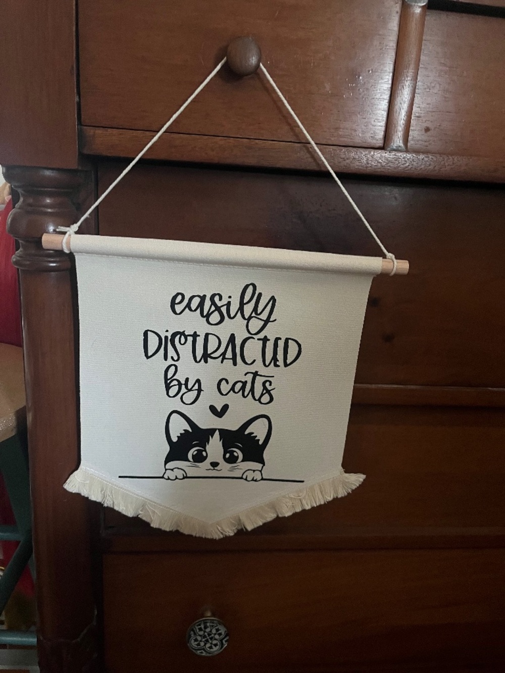 Easily Distracted By Cats Wall Hanger Banner